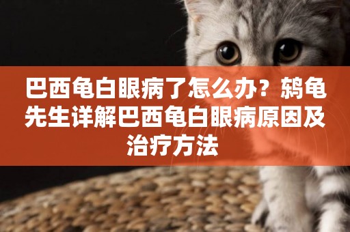 巴西龜白眼病了怎么辦？鶇龜先生詳解巴西龜白眼病原因及治療方法 