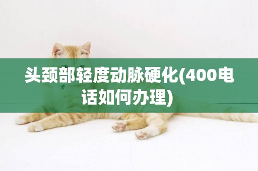 頭頸部輕度動脈硬化(400電話如何辦理) 