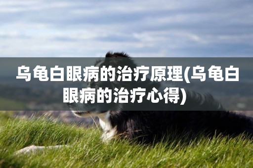 烏龜白眼病的治療原理(烏龜白眼病的治療心得) 