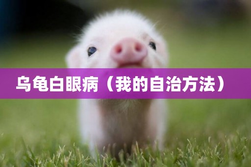 烏龜白眼病（我的自治方法） 