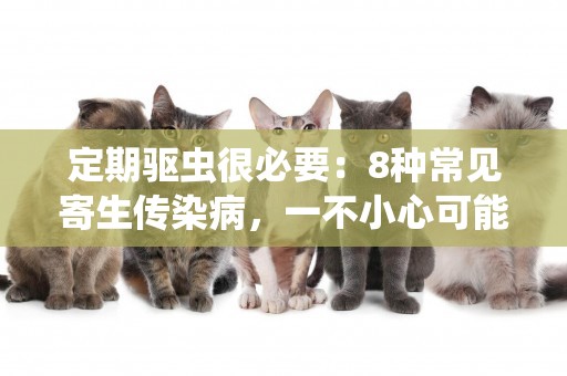 定期驅蟲很必要：8種常見寄生傳染病，一不小心可能要了狗狗的命 