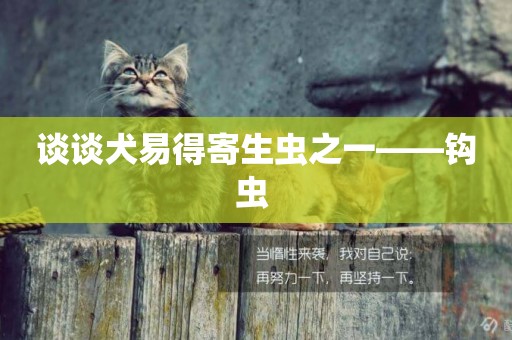 ?談談犬易得寄生蟲之一——鉤蟲 