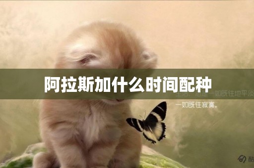阿拉斯加什么時間配種