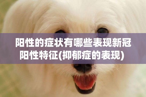 陽性的癥狀有哪些表現新冠陽性特征(抑郁癥的表現) 