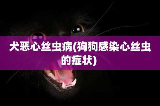 犬惡心絲蟲病(狗狗感染心絲蟲的癥狀) 