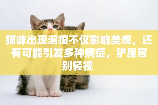 貓咪出現淚痕不僅影響美觀，還有可能引發多種病癥，鏟屎官別輕視 
