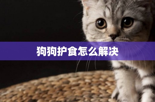 狗狗護食怎么解決