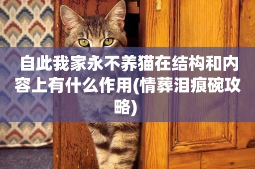 自此我家永不養貓在結構和內容上有什么作用(情葬淚痕碗攻略) 