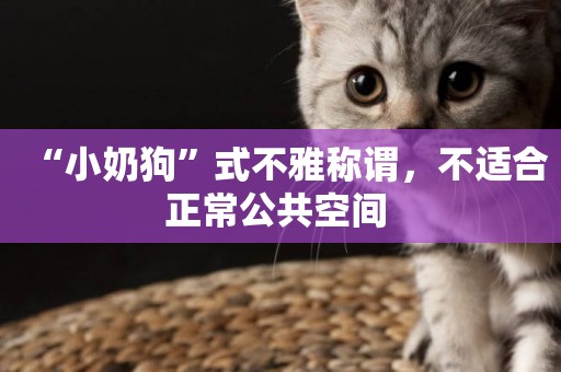“小奶狗”式不雅稱謂，不適合正常公共空間 