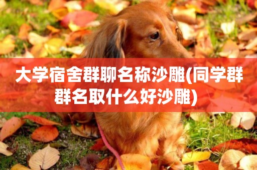 大學宿舍群聊名稱沙雕(同學群群名取什么好沙雕) 