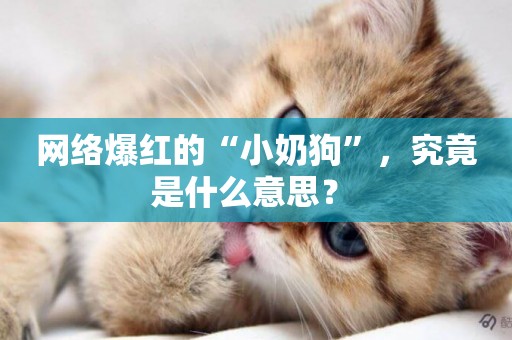 網絡爆紅的“小奶狗”，究竟是什么意思？ 