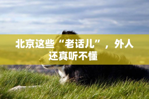 北京這些“老話兒”，外人還真聽不懂 