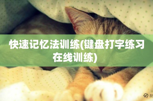 快速記憶法訓練(鍵盤打字練習在線訓練) 