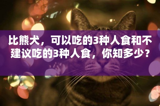 比熊犬，可以吃的3種人食和不建議吃的3種人食，你知多少？ 