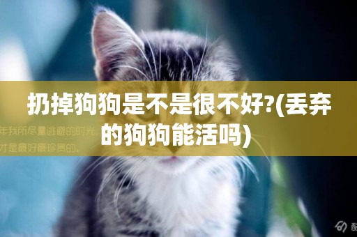 扔掉狗狗是不是很不好?(丟棄的狗狗能活嗎) 