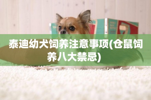 泰迪幼犬飼養注意事項(倉鼠飼養八大禁忌) 