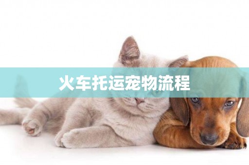 火車托運寵物流程