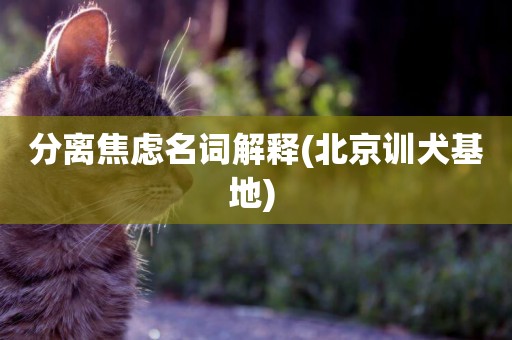 分離焦慮名詞解釋(北京訓犬基地) 