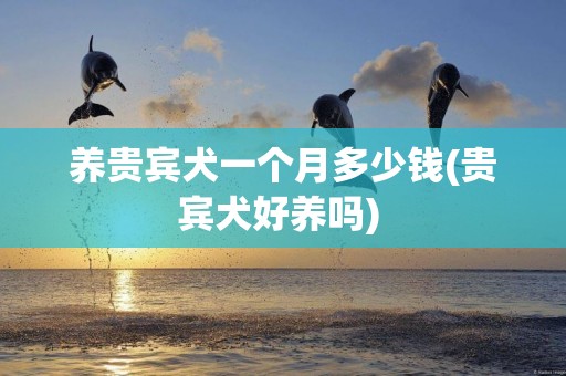 養貴賓犬一個月多少錢(貴賓犬好養嗎) 