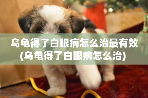 烏龜得了白眼病怎么治最有效(烏龜得了白眼病怎么治) 
