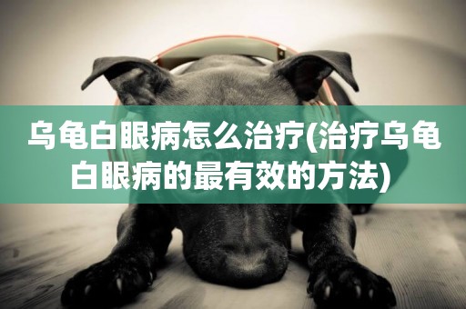 烏龜白眼病怎么治療(治療烏龜白眼病的最有效的方法) 