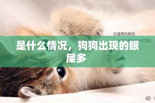 是什么情況，狗狗出現的眼屎多 