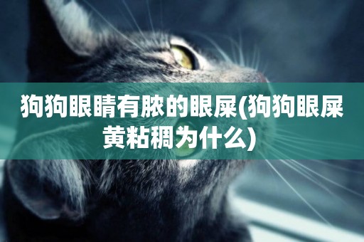 狗狗眼睛有膿的眼屎(狗狗眼屎黃粘稠為什么) 