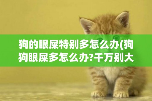 狗的眼屎特別多怎么辦(狗狗眼屎多怎么辦?千萬別大意吃什么藥) 
