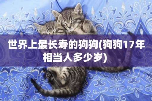 世界上最長壽的狗狗(狗狗17年相當人多少歲) 