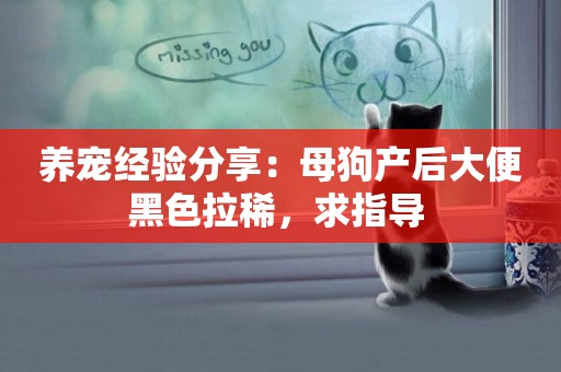 養寵經驗分享：母狗產后大便黑色拉稀，求指導 