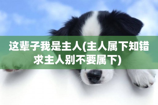 這輩子我是主人(主人屬下知錯求主人別不要屬下) 