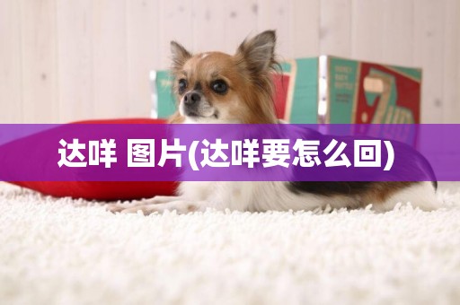 達咩 圖片(達咩要怎么回) 