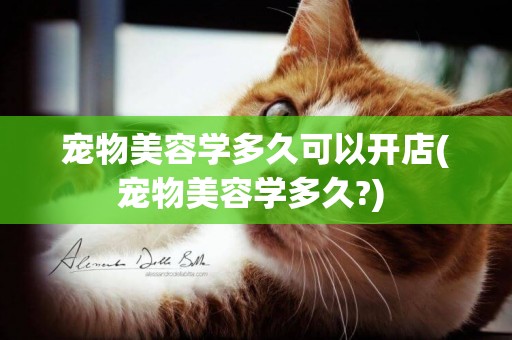 寵物美容學多久可以開店(寵物美容學多久?) 