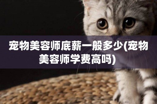 寵物美容師底薪一般多少(寵物美容師學費高嗎) 
