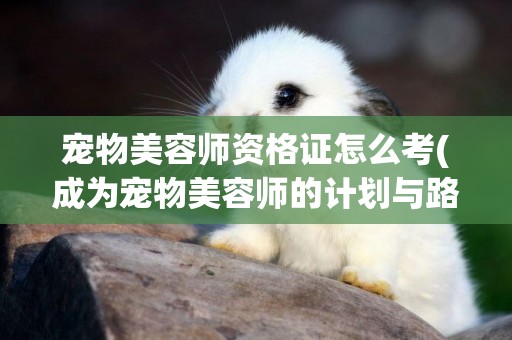 寵物美容師資格證怎么考(成為寵物美容師的計劃與路徑) 