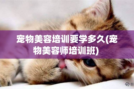寵物美容培訓要學多久(寵物美容師培訓班) 