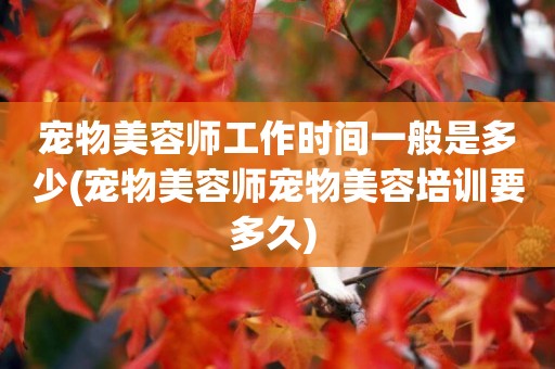 寵物美容師工作時間一般是多少(寵物美容師寵物美容培訓要多久) 