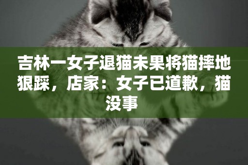 吉林一女子退貓未果將貓摔地狠踩，店家：女子已道歉，貓沒事 