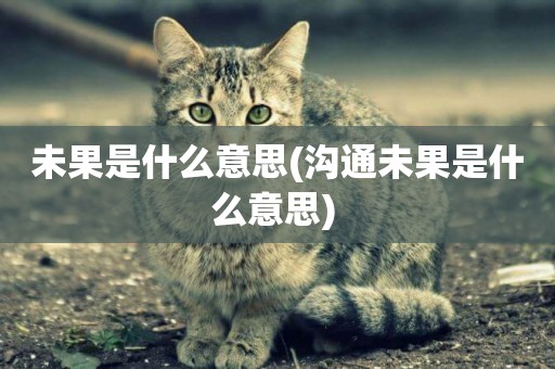 未果是什么意思(溝通未果是什么意思) 