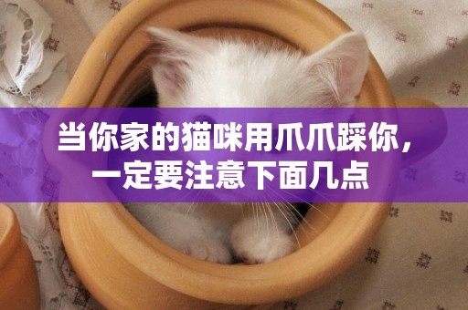 當你家的貓咪用爪爪踩你，一定要注意下面幾點 