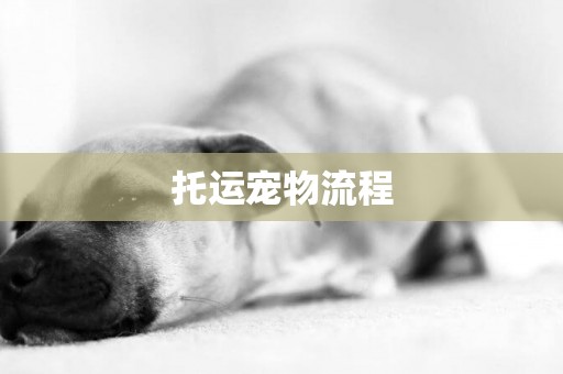 托運寵物流程