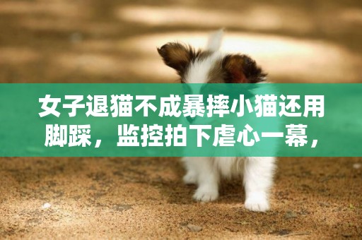 女子退貓不成暴摔小貓還用腳踩，監控拍下虐心一幕，當事人回應了 