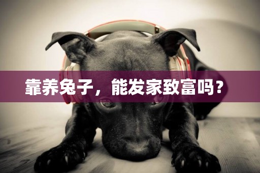靠養兔子，能發家致富嗎？ 
