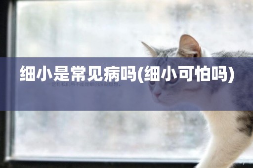 細小是常見病嗎(細小可怕嗎) 