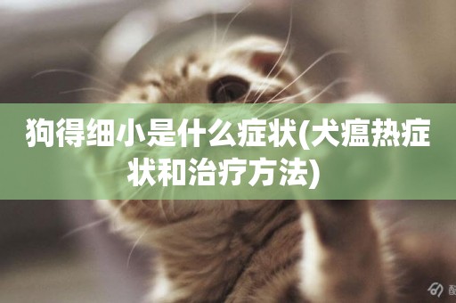 狗得細小是什么癥狀(犬瘟熱癥狀和治療方法) 
