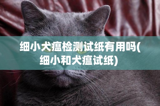 細小犬瘟檢測試紙有用嗎(細小和犬瘟試紙) 
