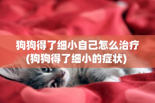 狗狗得了細小自己怎么治療(狗狗得了細小的癥狀) 