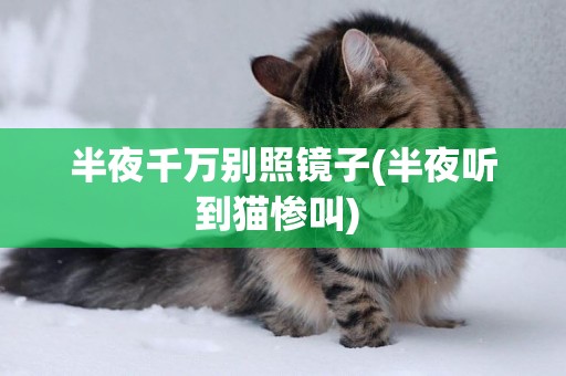 半夜千萬別照鏡子(半夜聽到貓慘叫) 
