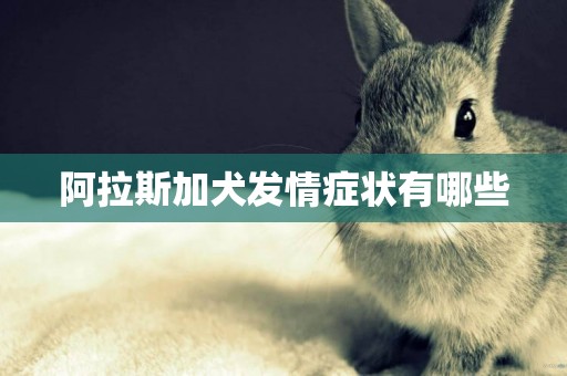 阿拉斯加犬發情癥狀有哪些
