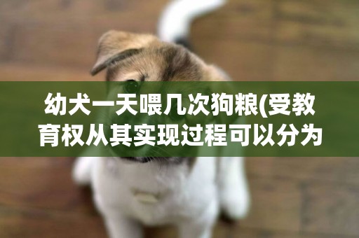 幼犬一天喂幾次狗糧(受教育權從其實現過程可以分為) 